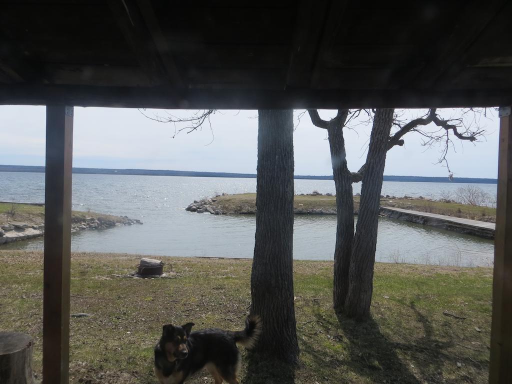 Lake Wolsey Cabins Gore Bay Exterior photo
